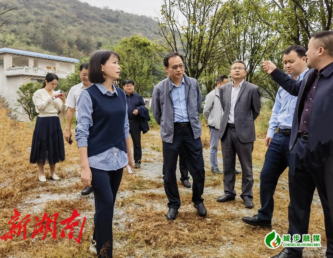 王慧敏调研邵阳旅发大会项目建设选址工作_邵阳头条网